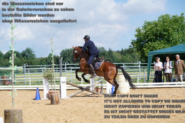s_K3F05669.JPG
